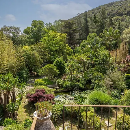 Villa Bergerie Fiumicellu + Maisonnette