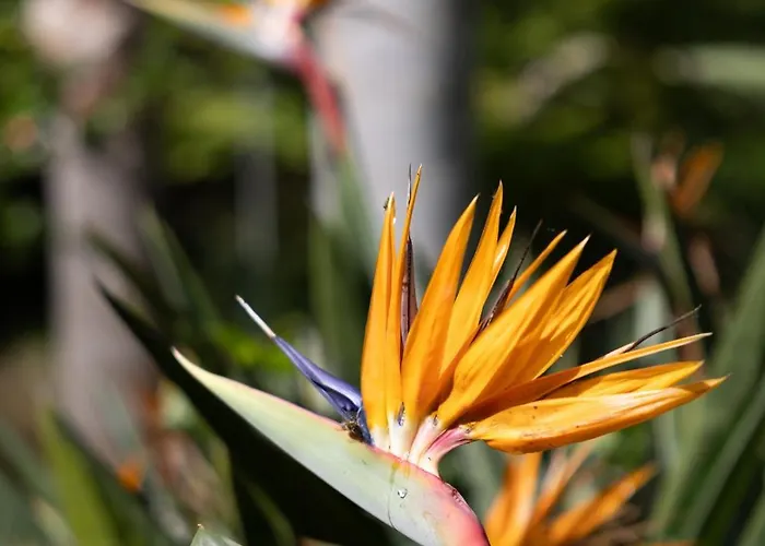 Bergerie Fiumicellu + Maisonnette וילה