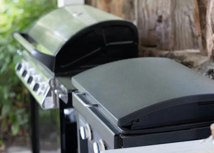 Bergerie Fiumicellu + Maisonnette